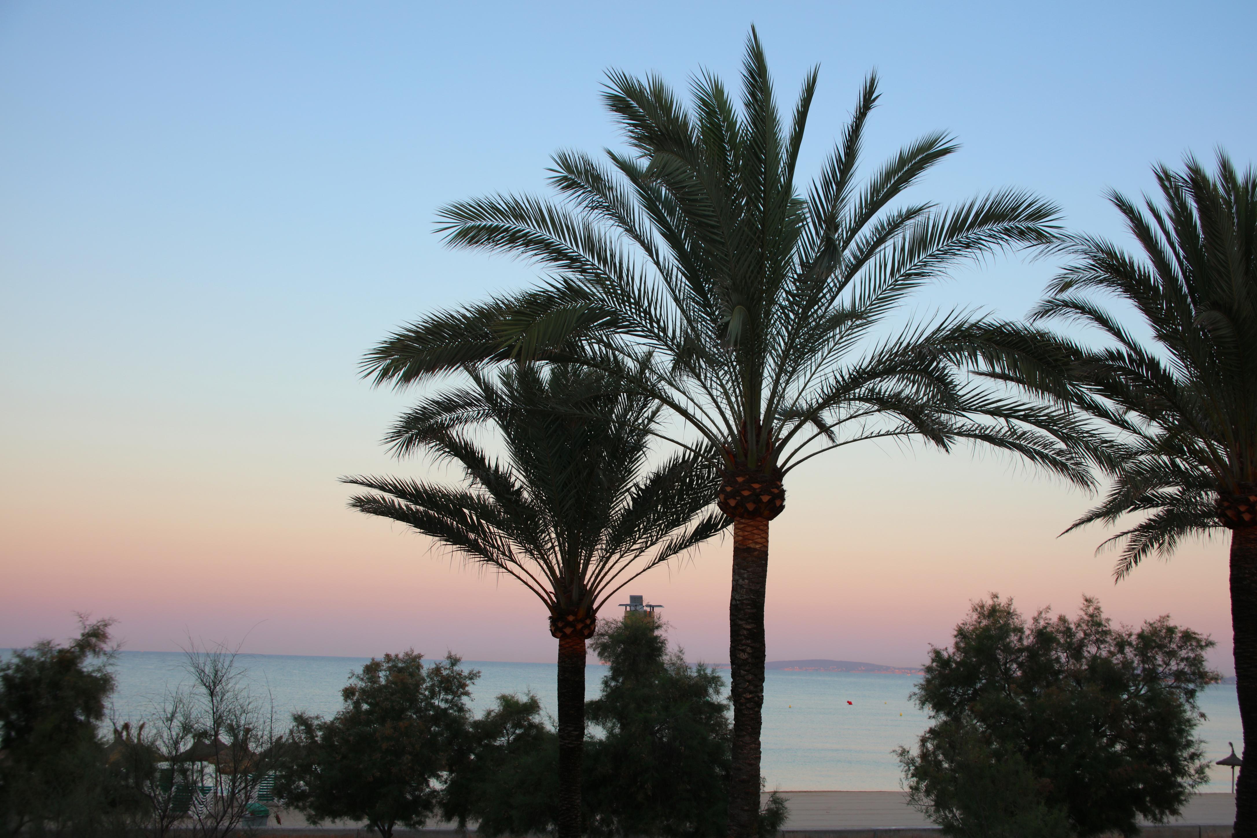 Iberostar Waves Bahia De Palma - Adults Only Hotel Playa de Palma  Bagian luar foto